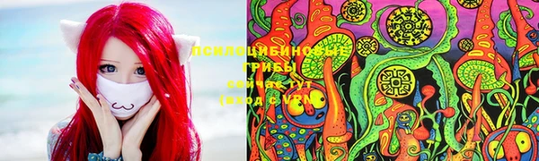 не бодяженный Нефтекумск