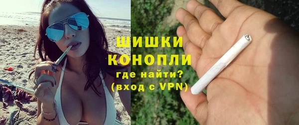 индика Нефтегорск