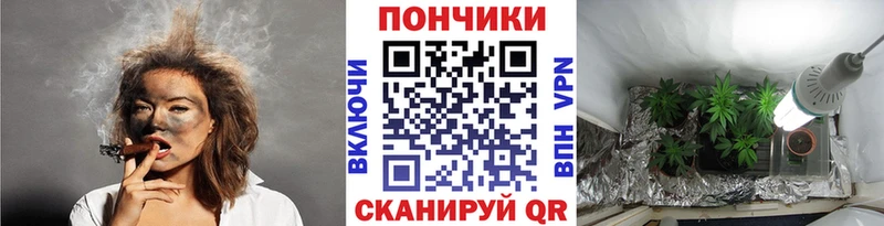MEGA вход  сайты даркнета наркотические препараты  Ядрин  МАРИХУАНА Ganja  купить  цена 